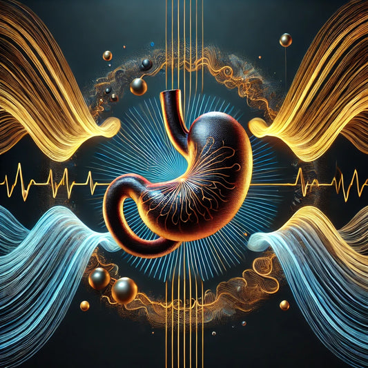 E-Feldwirker für die Milz