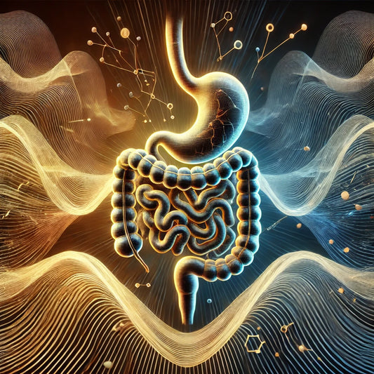 E-Feldwirker für den Verdauungstrakt